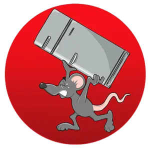 PACK RAT HAULING LLC