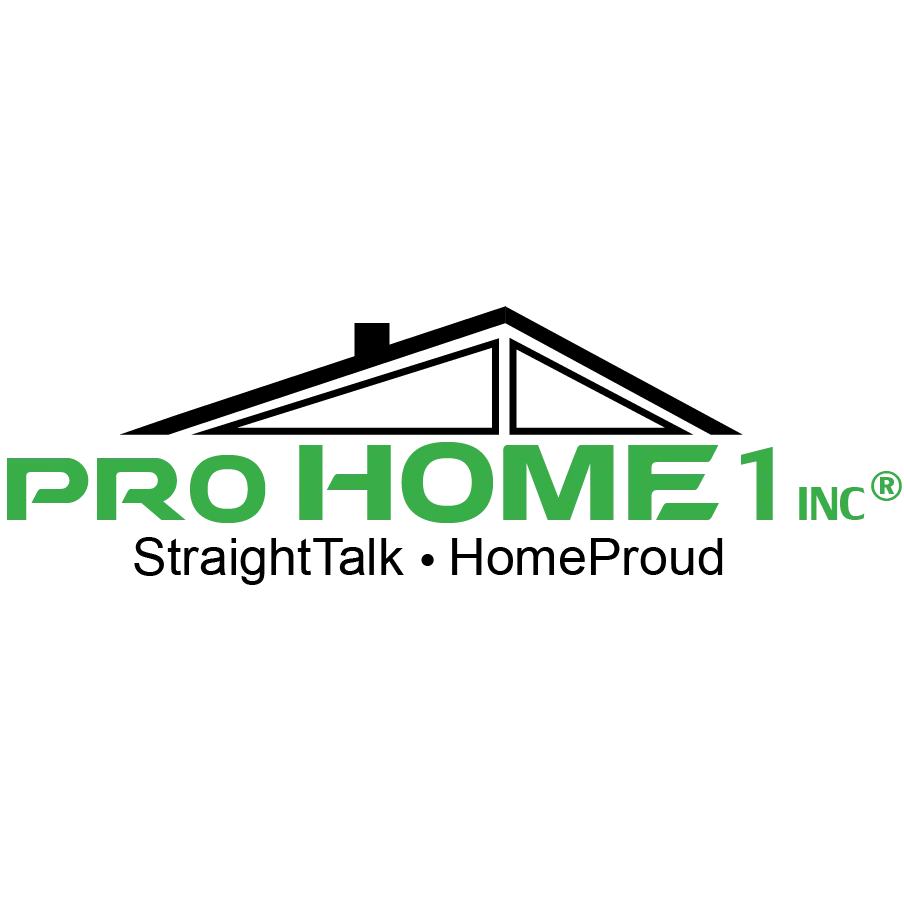 Pro Home 1, Inc