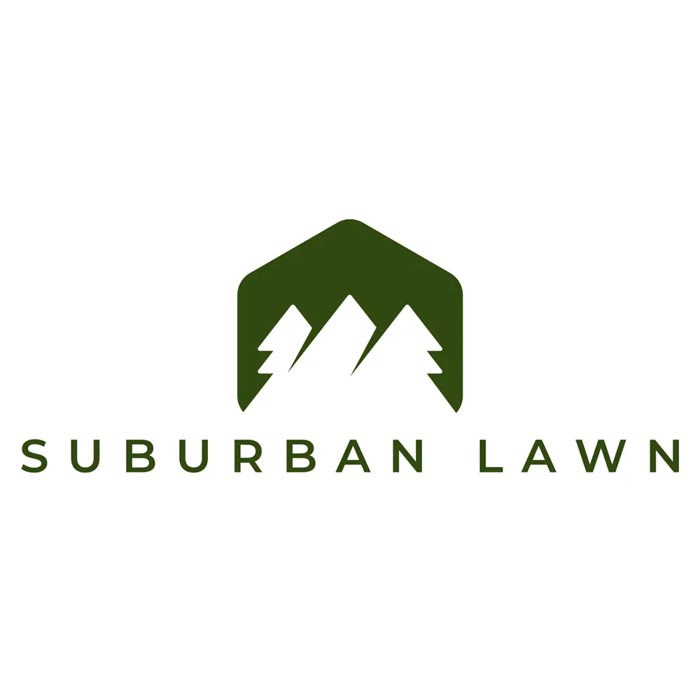 Suburban Lawn
