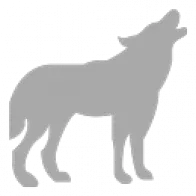 Wolf Concrete Construction Works LLC