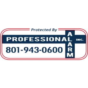 Professional Alarm Company, Inc