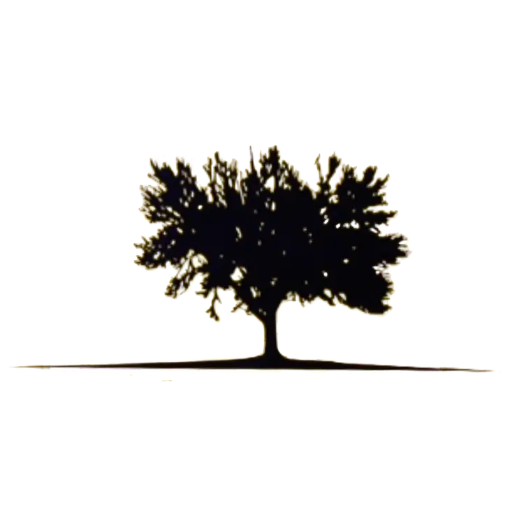 MODEL HARDWOOD FLOORS INC