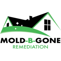 Mold-B-Gone Remediation