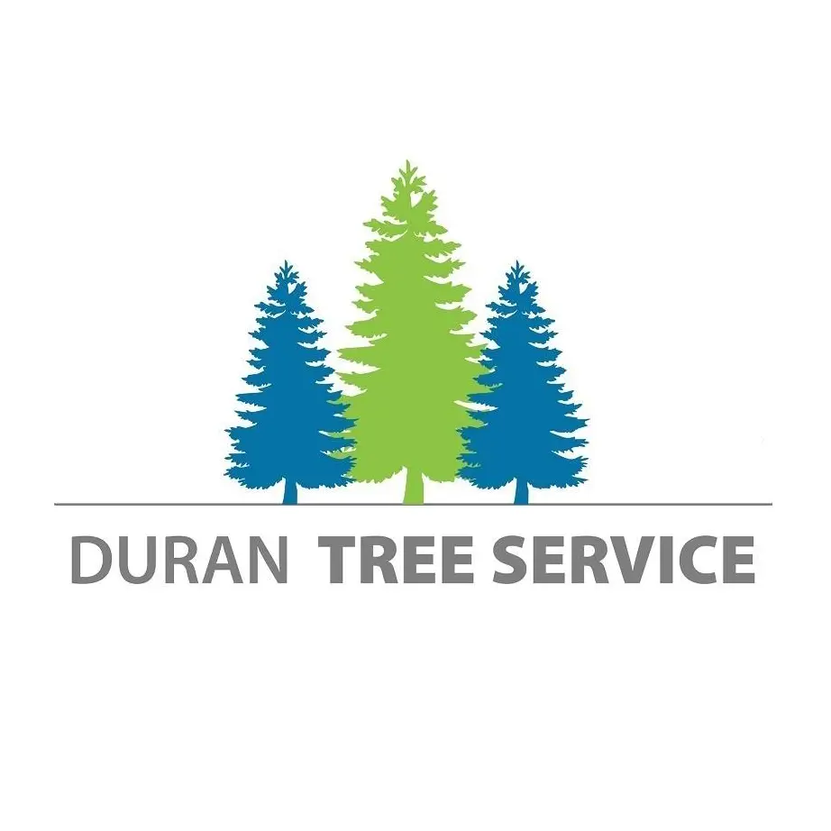 DURAN TREE SERVICE LLC