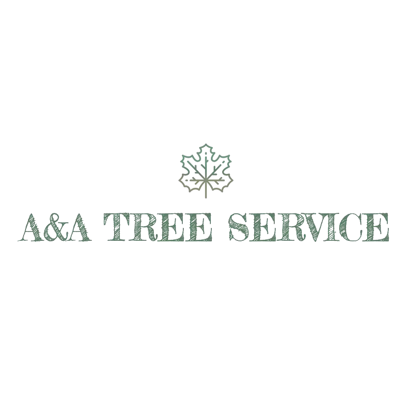 A & A Tree Service