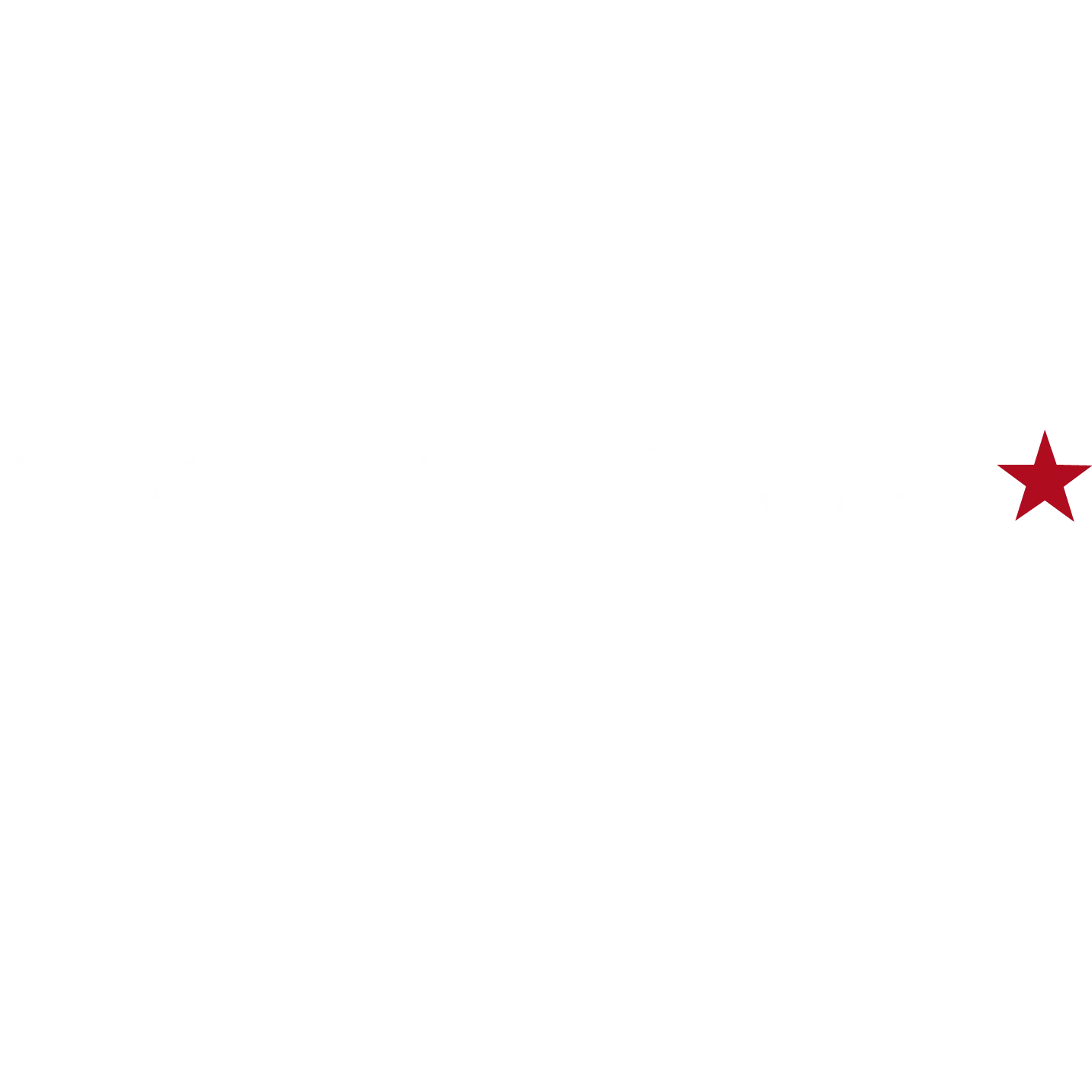BONDHVN LLC