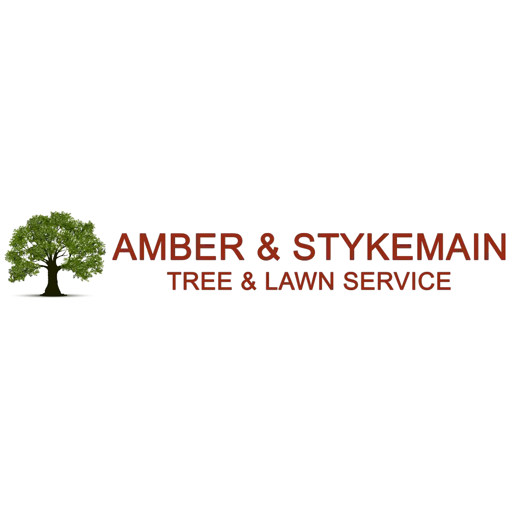 Amber & Stykemain Tree & Lawn Service