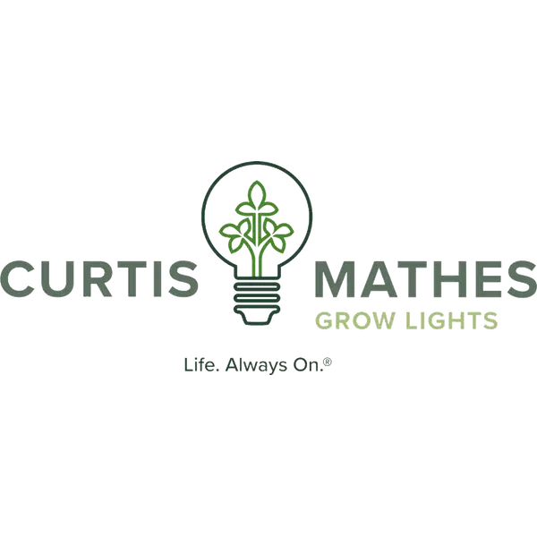 Mikey's Lighting, LLC