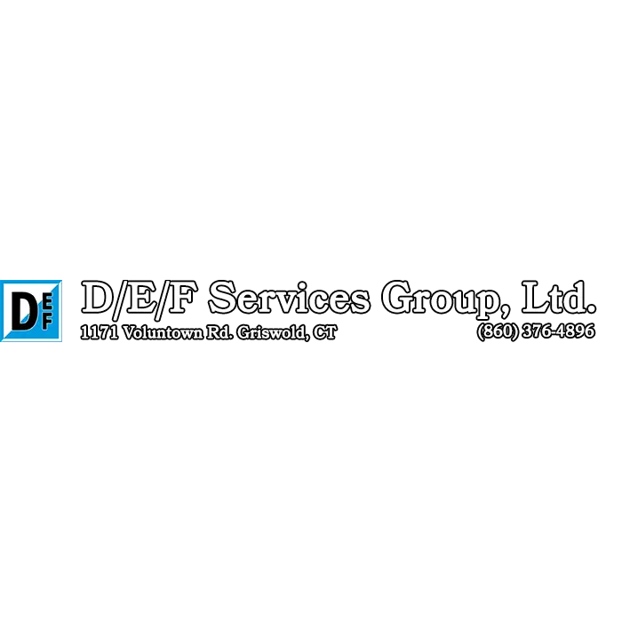D/E/F SERVICES GROUP LTD