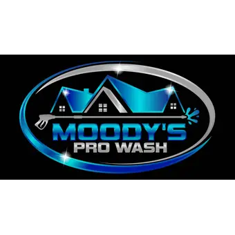 Moody's Pro Wash