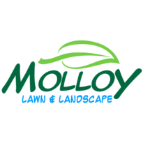 Molloy Lawn & Landscape