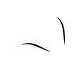 NW LANDSCAPE MANAGEMENT INC