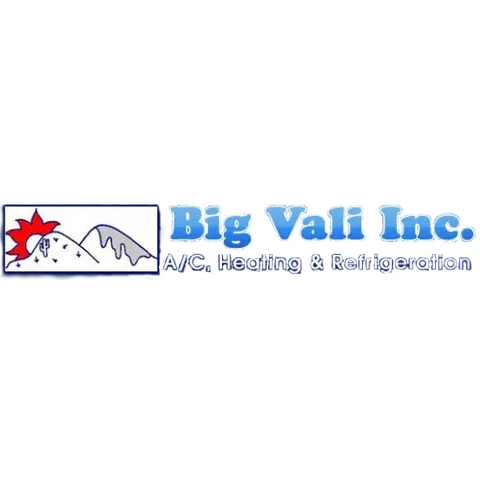 BIG VALI INC