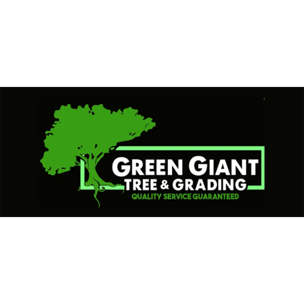 Green Giant Tree & Grading
