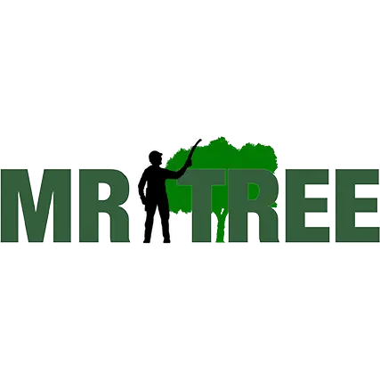 Mr. Tree LV, LLC
