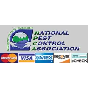 Queen "B" Pest Services