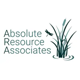 Absolute Resource Associates