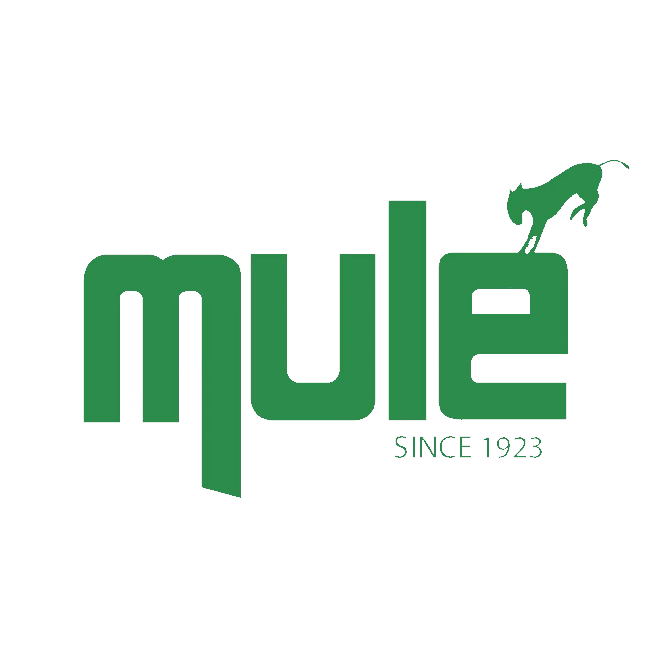 Mule Lighting Inc