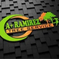 A+ Ramirez Tree Service