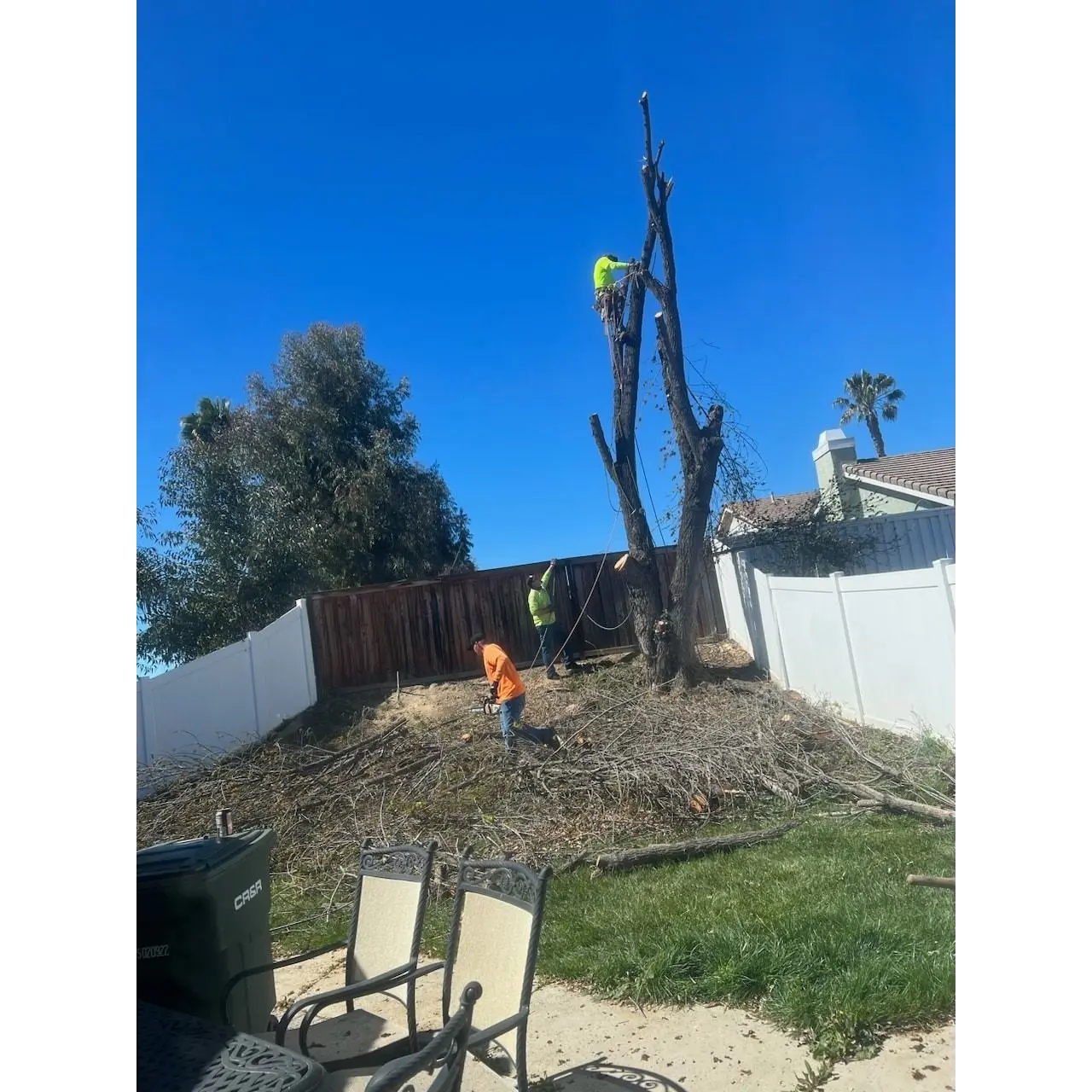 ARMSTRONG TREE SERVICE