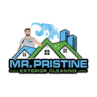 MR.PRISTINE