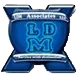 LDM ASSOCIATES LLC