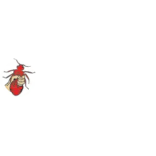 Town & Country Pest Solutions