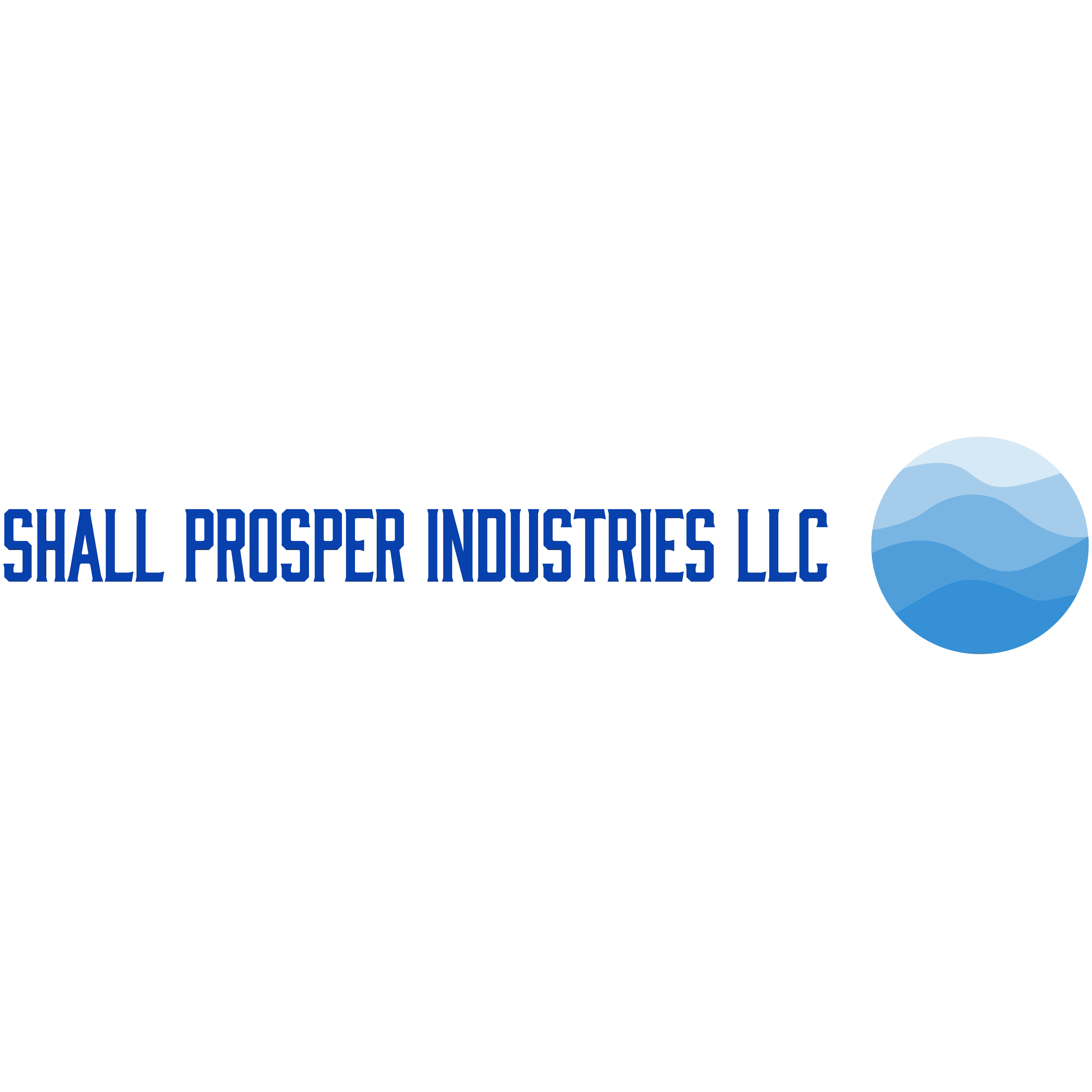 SHALL PROSPER INDUSTRIES LLC