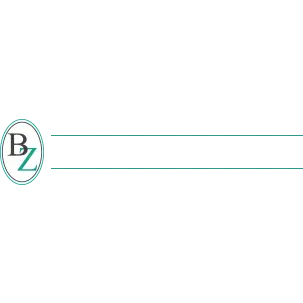 BZ CONSTRUCTION SERVICES, INC