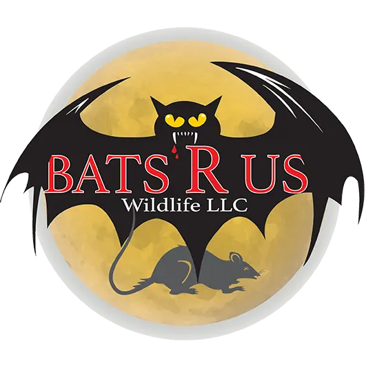 Bats R Us Wildlife Removal Specialist, LLC