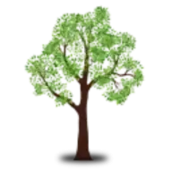 Connecticut Tree Service of Naugatuck, LLC