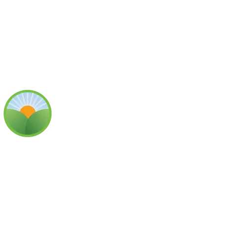 Premium Lawn & Landscapes