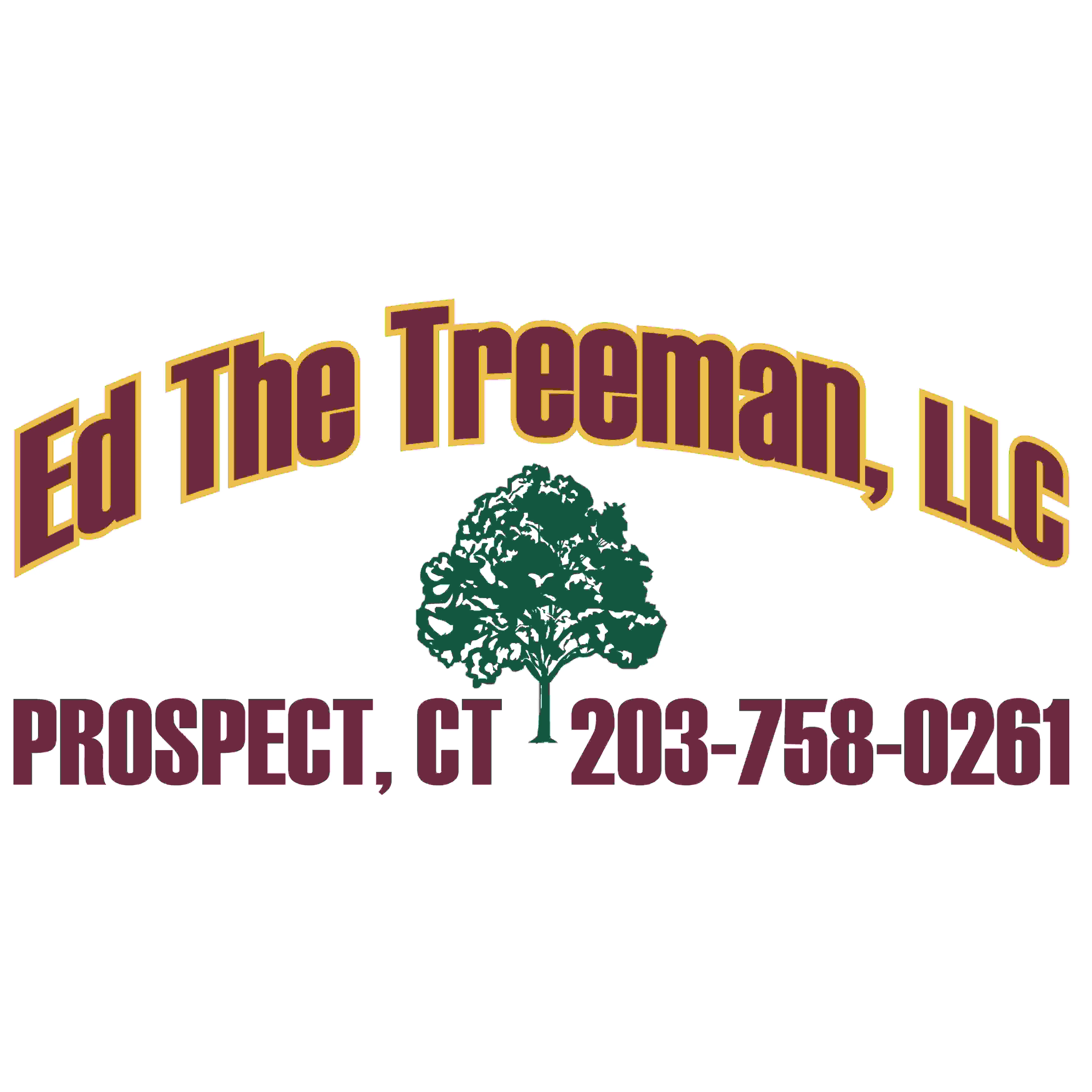 Ed The Treeman, LLC