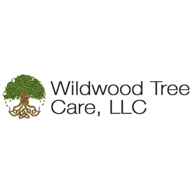 WILDWOOD TREE CARE LLC