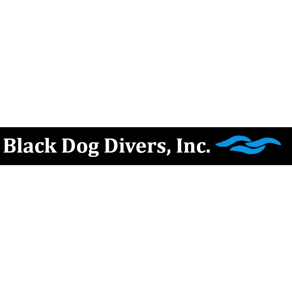 BLACK DOG DIVERS INC