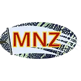 MNZ Window Cleaning Services