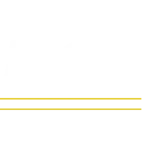 DYNAMIC SOLUTIONS TECHNOLOGY LLC