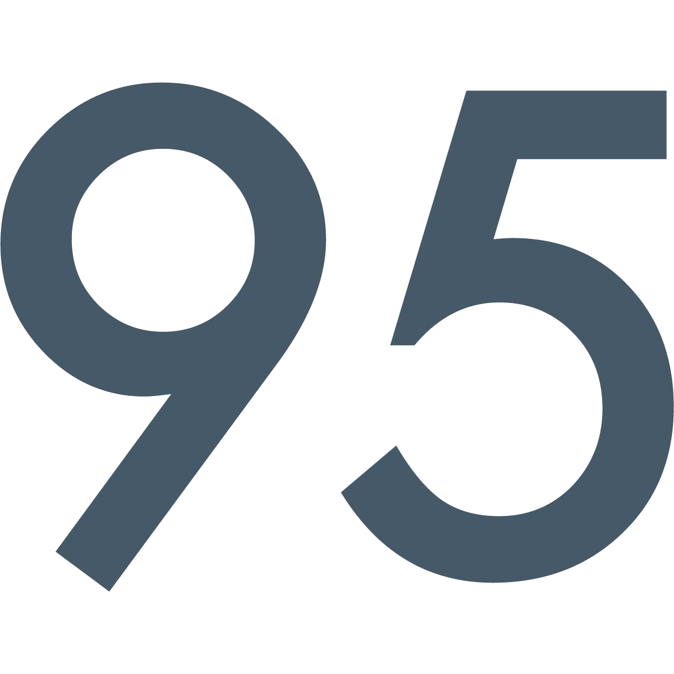 95 Custom Construction