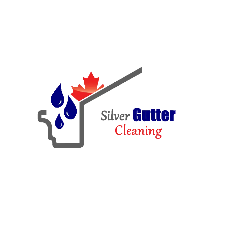 Silver Gutter Cleaning