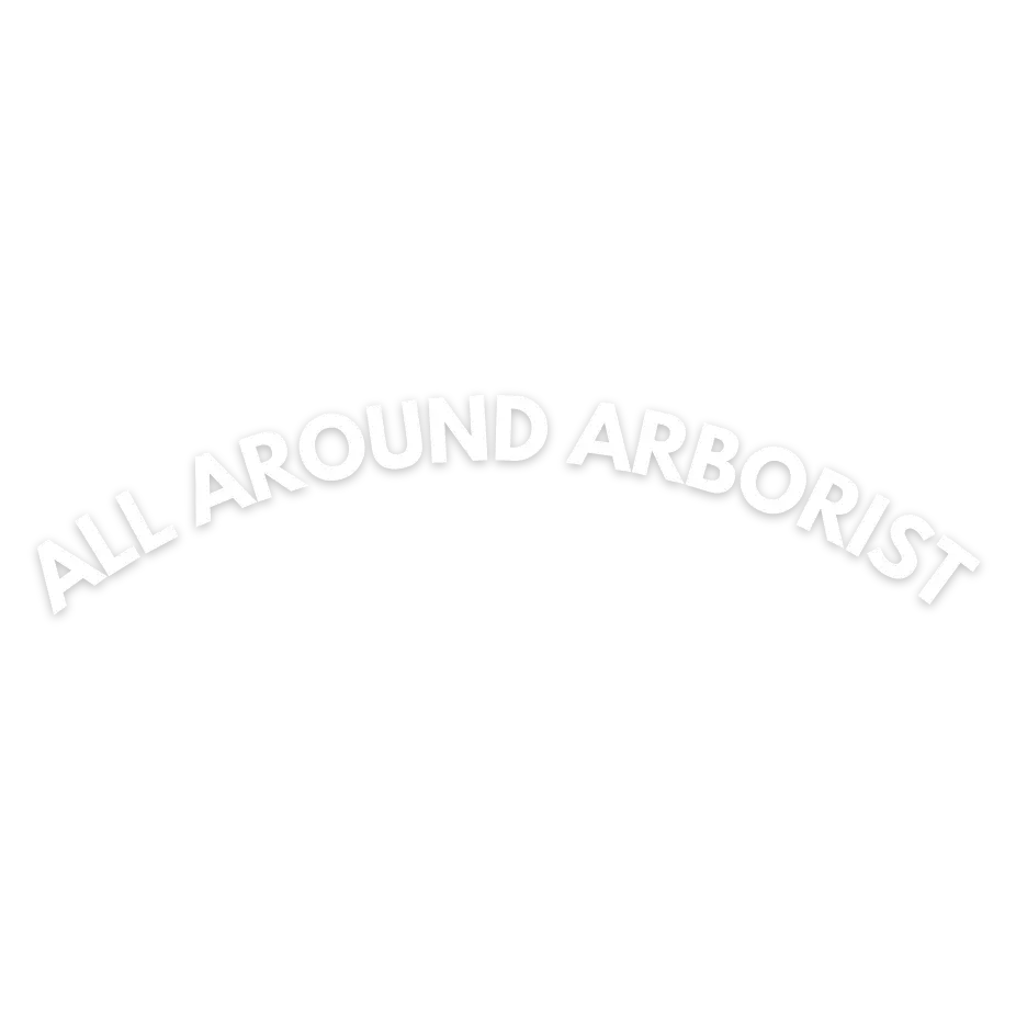 ALL AROUND ARBORIST