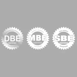 ORION ENVIRONMENTAL INC