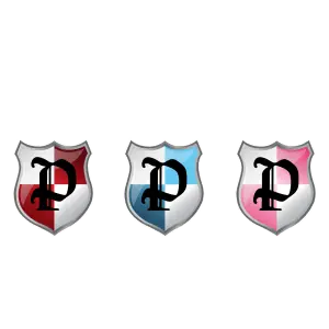 PLATINUM COATING OF NC INC