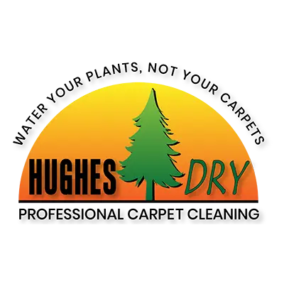Hughes Dry Professional Carpet Care