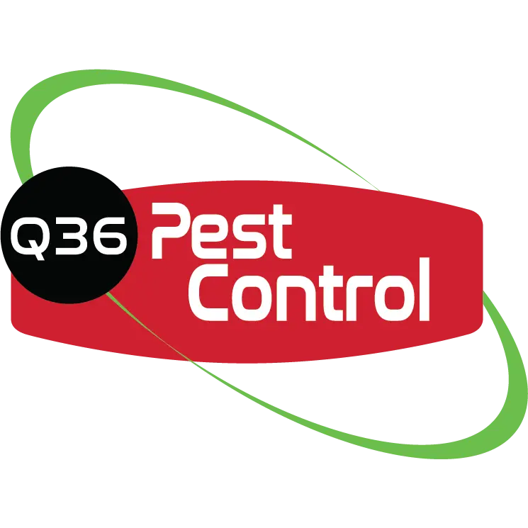 Q36 Pest Control