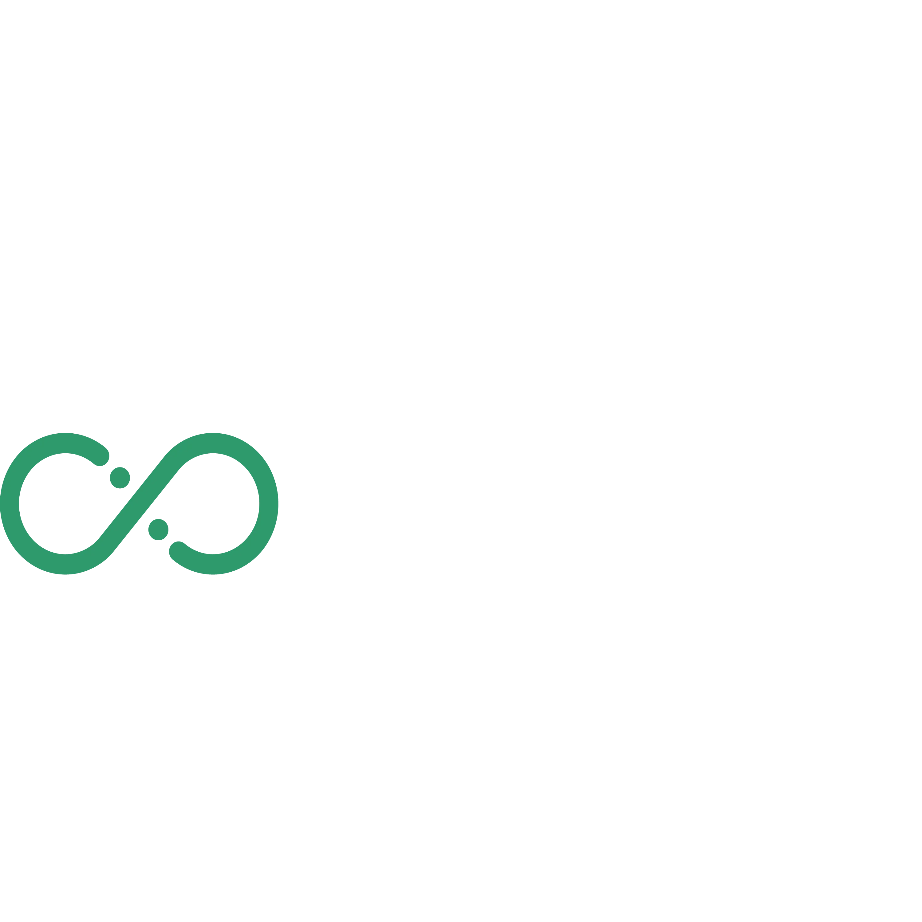ALIVE MEDIA LLC