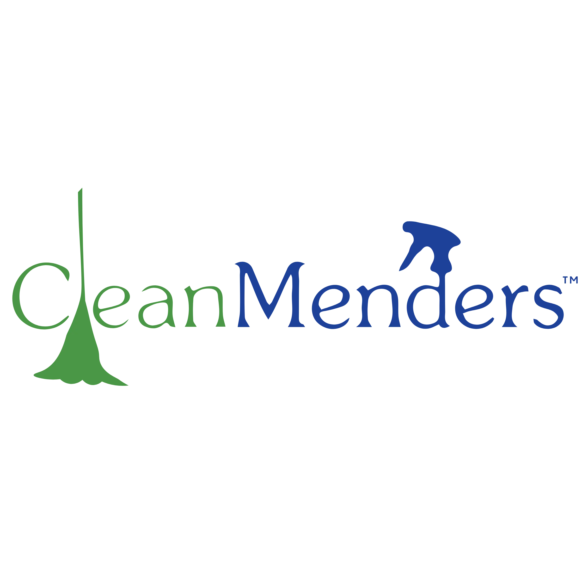 Cleanmenders International