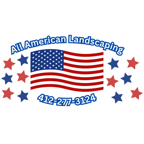 ALL AMERICAN LANDSCAPES LLC