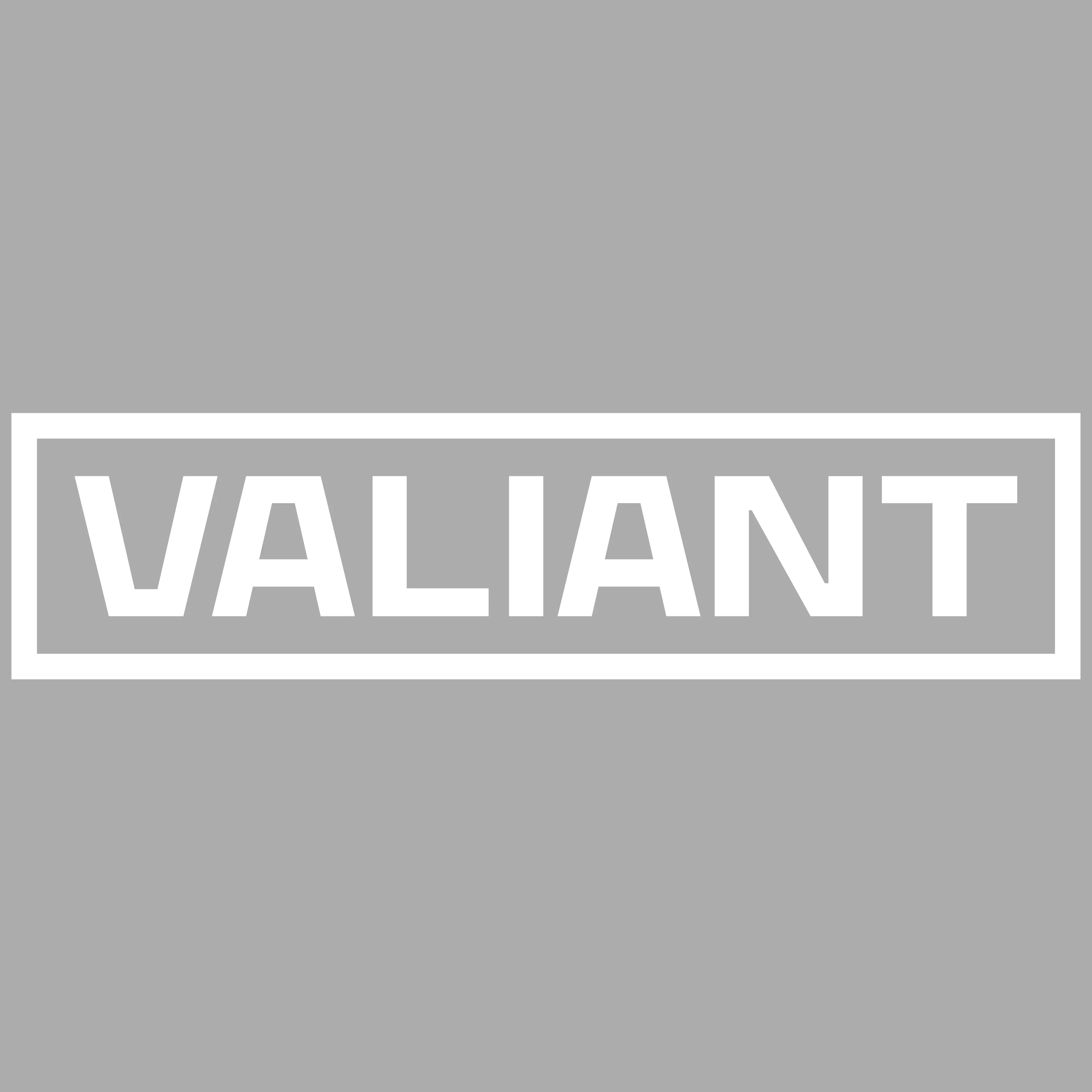 VALIANT CONSTRUCTION LLC