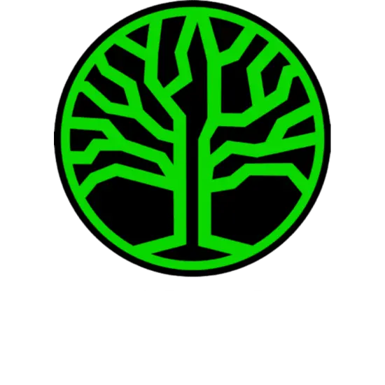 EVOLUTION DISPOSAL LLC