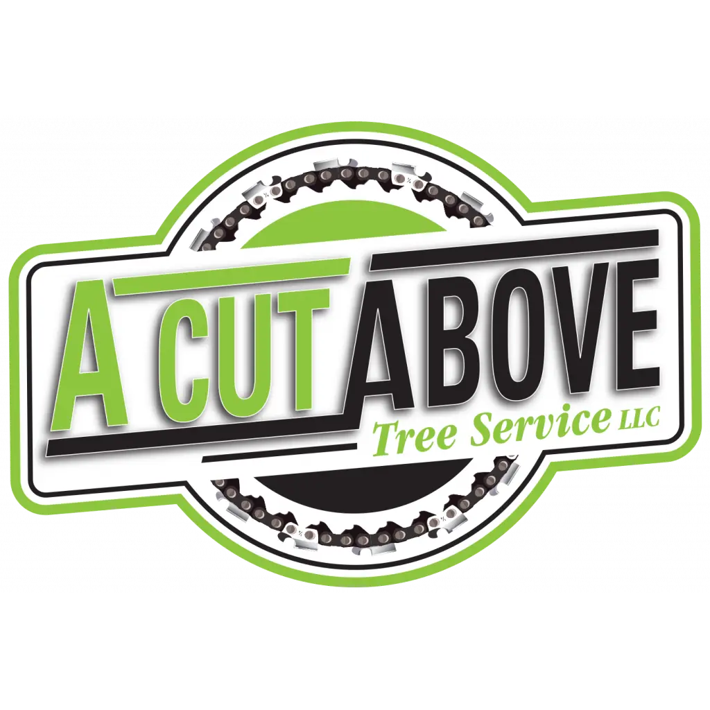 A Cut Above Tree Service LLC